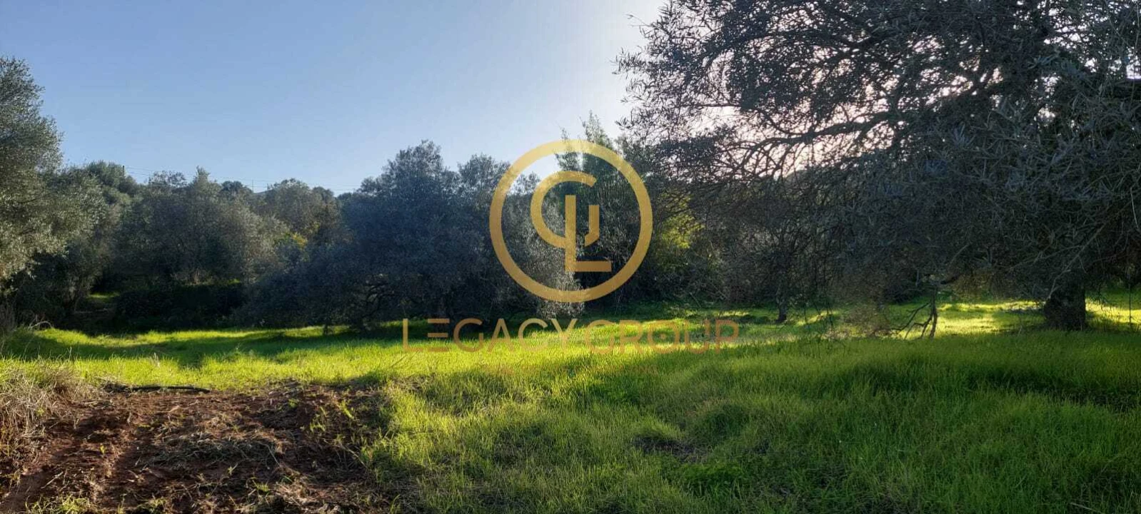 Terreno para Venda em Alte Foto 10