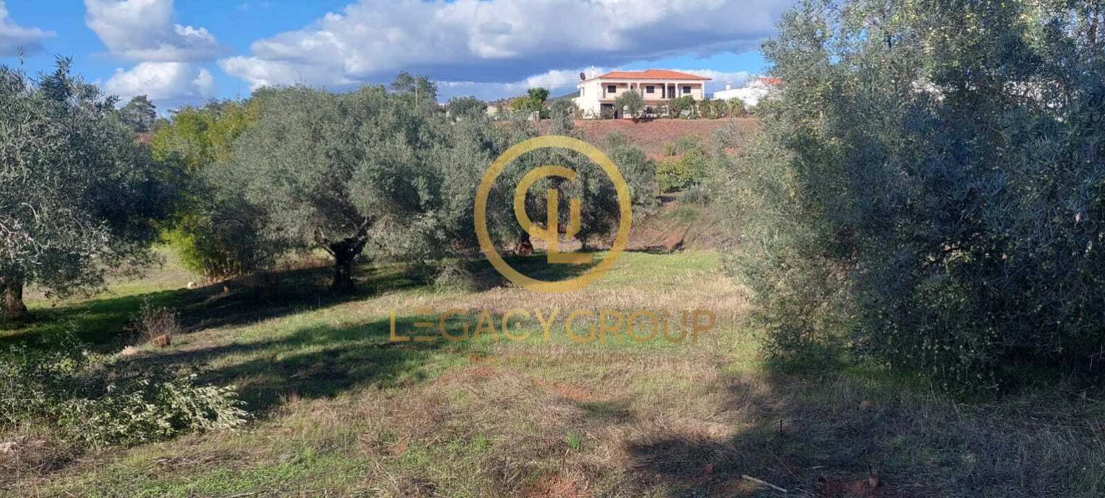 Terreno para Venda em Alte Foto 17