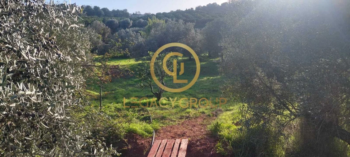 Terreno para Venda em Alte Foto 8