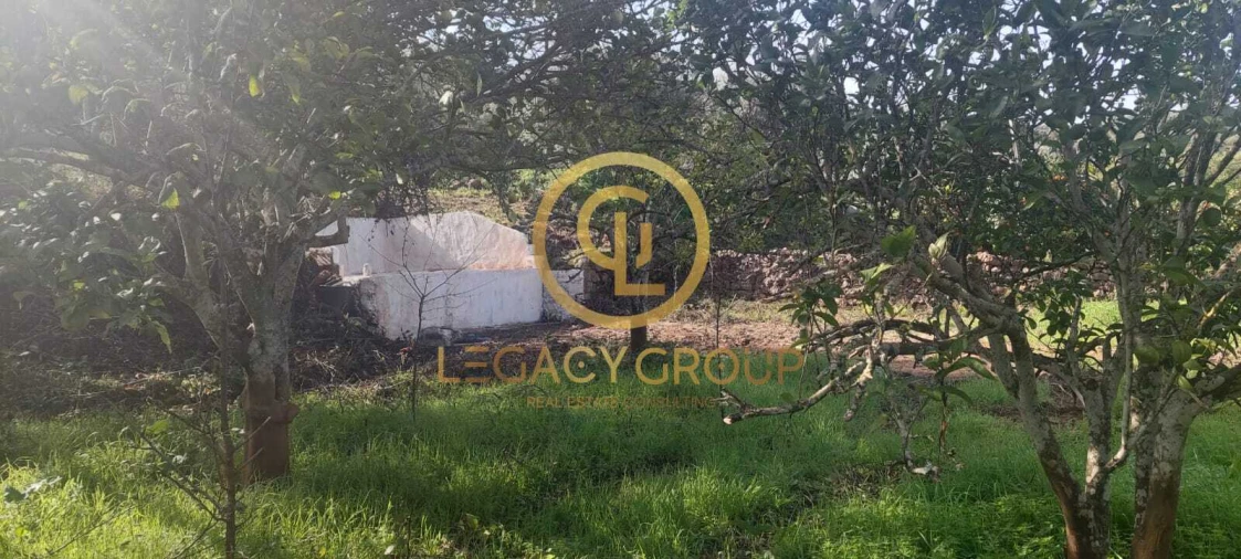 Terreno para Venda em Alte Foto 6