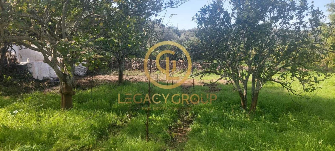 Terreno para Venda em Alte Foto 4