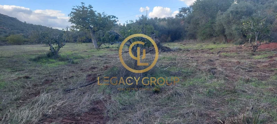 Terreno para Venda em Alte Foto 20