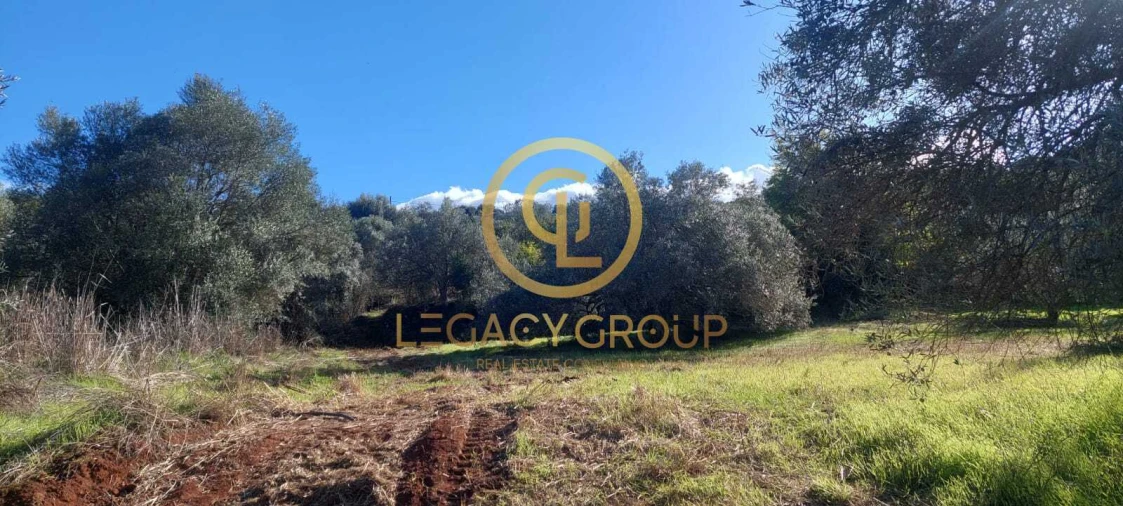 Terreno para Venda em Alte Foto 18