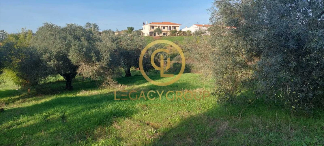 Terreno para Venda em Alte Foto 14