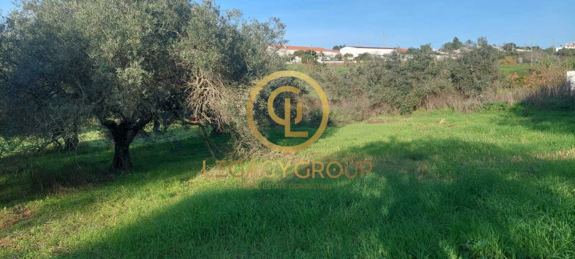 Terreno para Venda em Alte Foto 5