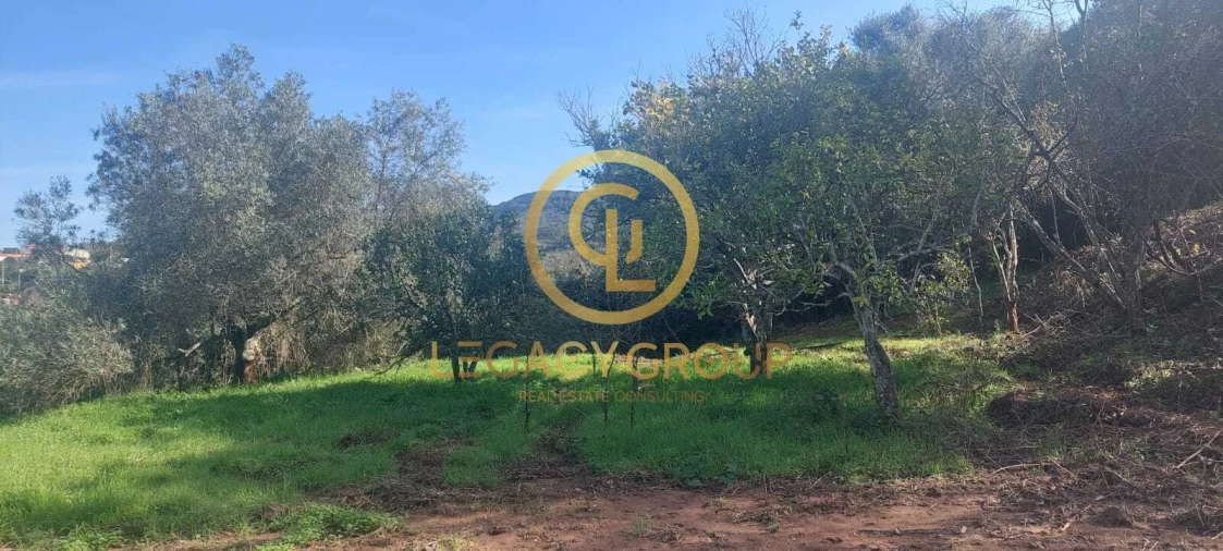 Terreno para Venda em Alte Foto 3