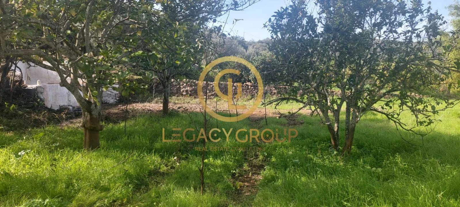 Terreno para Venda em Alte Foto 4