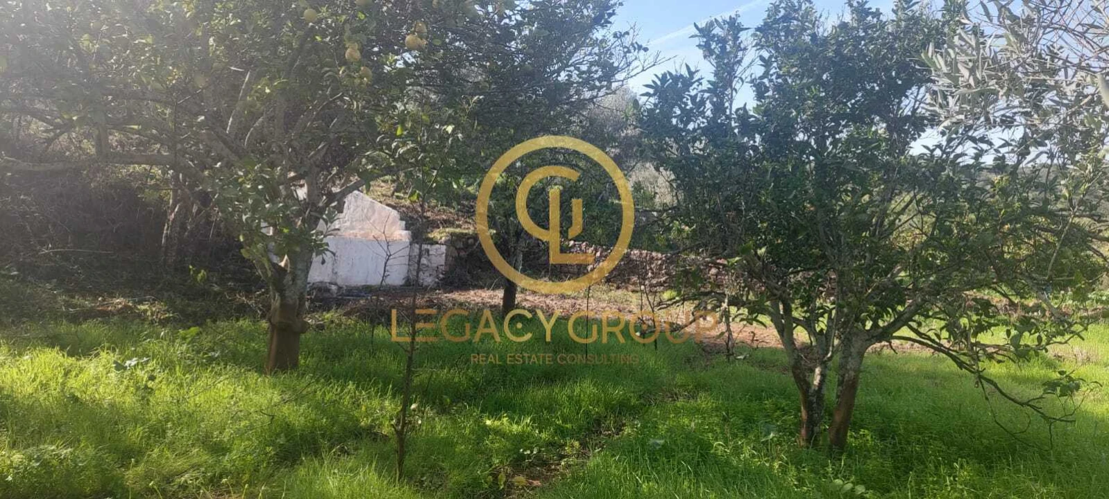 Terreno para Venda em Alte Foto 7