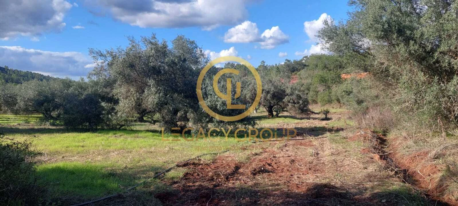 Terreno para Venda em Alte Foto 16