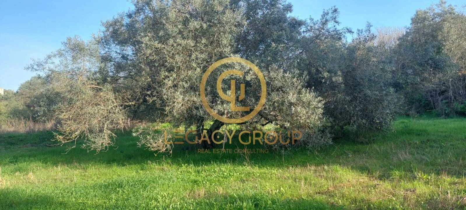 Terreno para Venda em Alte Foto 13