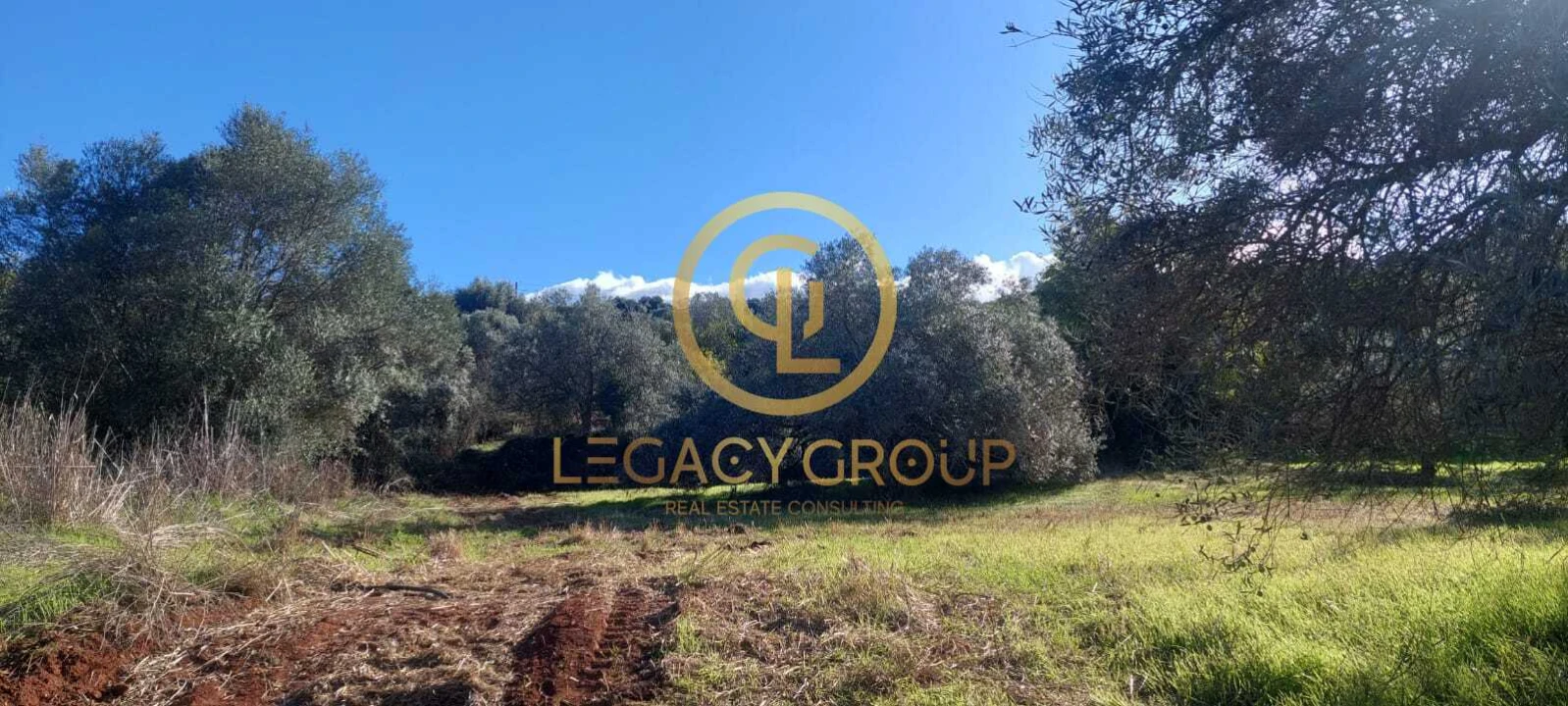 Terreno para Venda em Alte Foto 19