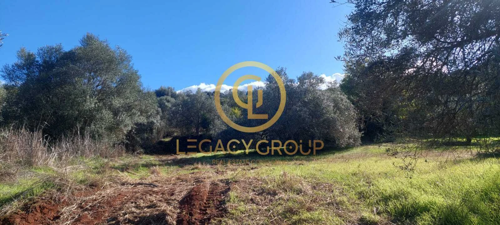 Terreno para Venda em Alte Foto 18