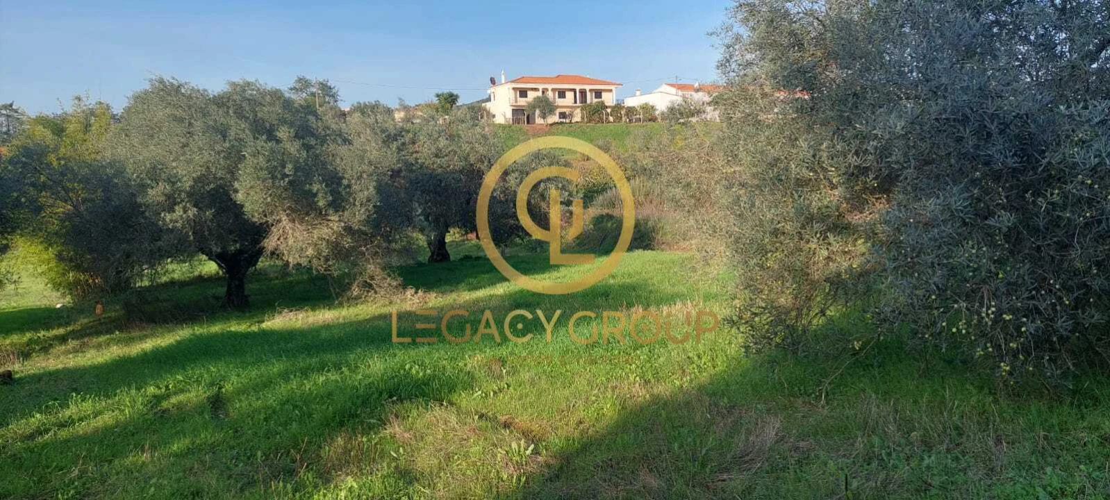 Terreno para Venda em Alte Foto 14