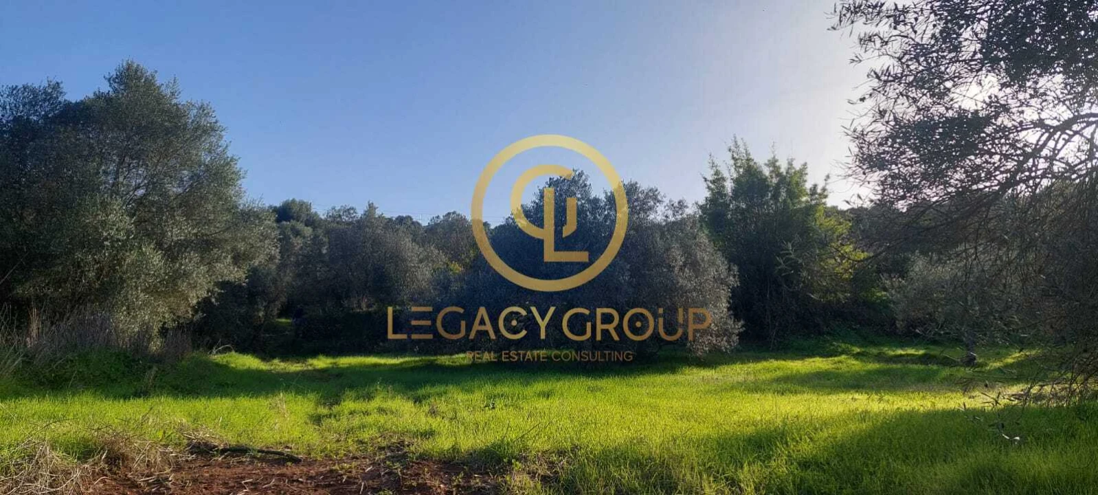 Terreno para Venda em Alte Foto 11