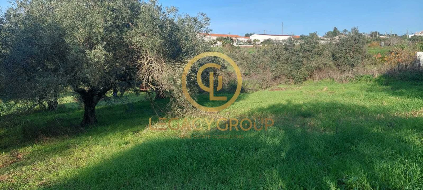 Terreno para Venda em Alte Foto 5