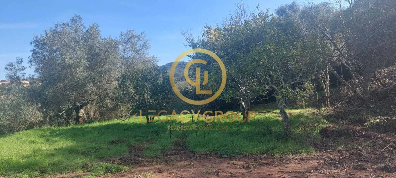 Terreno para Venda em Alte Foto 3