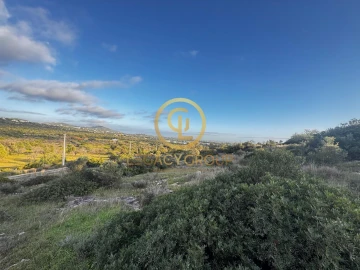 Terreno para Venda em Santa Barbara de Nexe