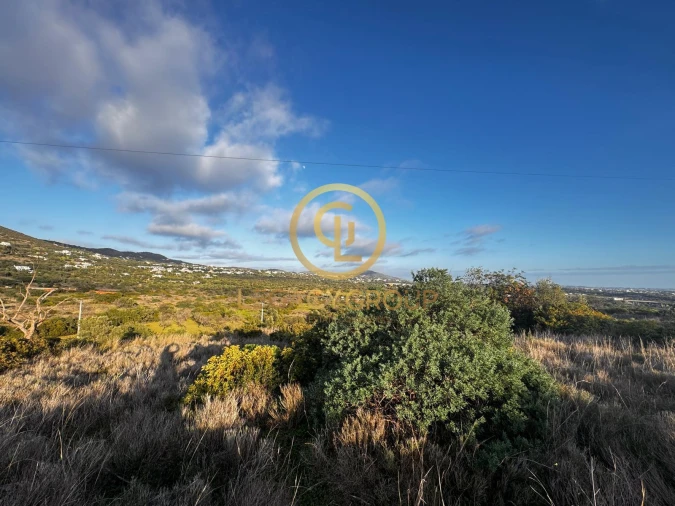 Terreno para Venda em Santa Barbara de Nexe Foto 4