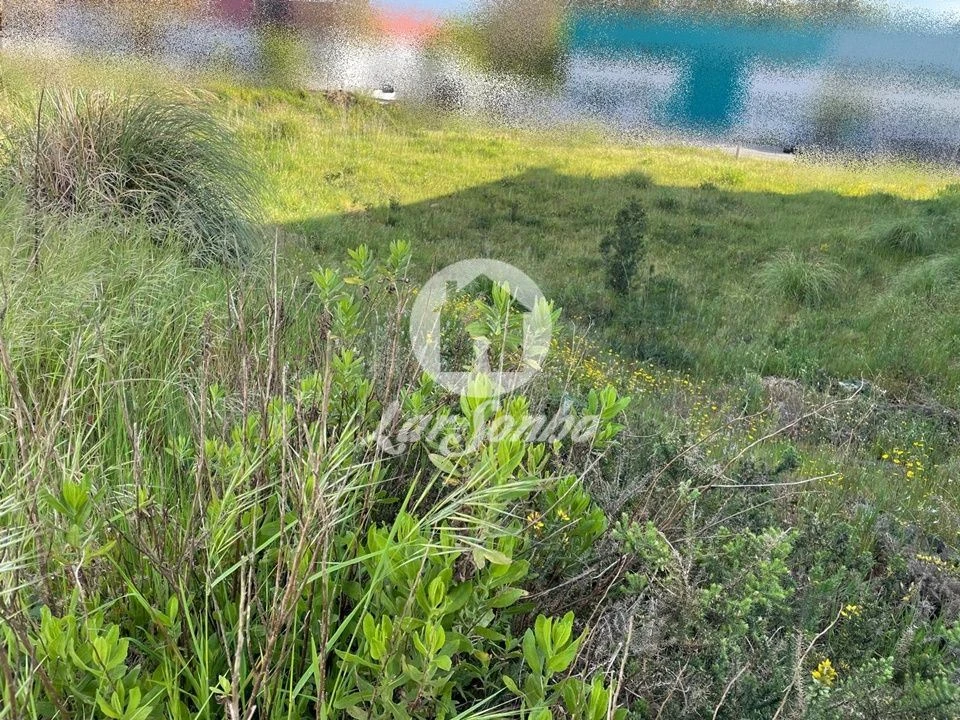 Terreno Comércio / Armazém para Venda em Coronado (São Romão e São Mamede) Foto 3