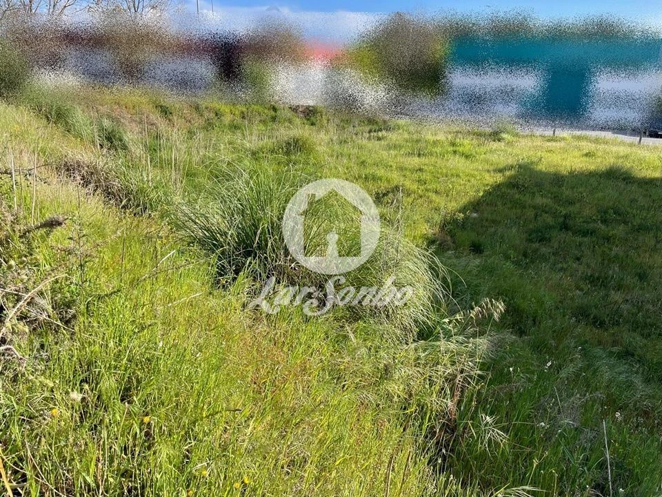 Terreno Comércio / Armazém para Venda em Coronado (São Romão e São Mamede) Foto 6
