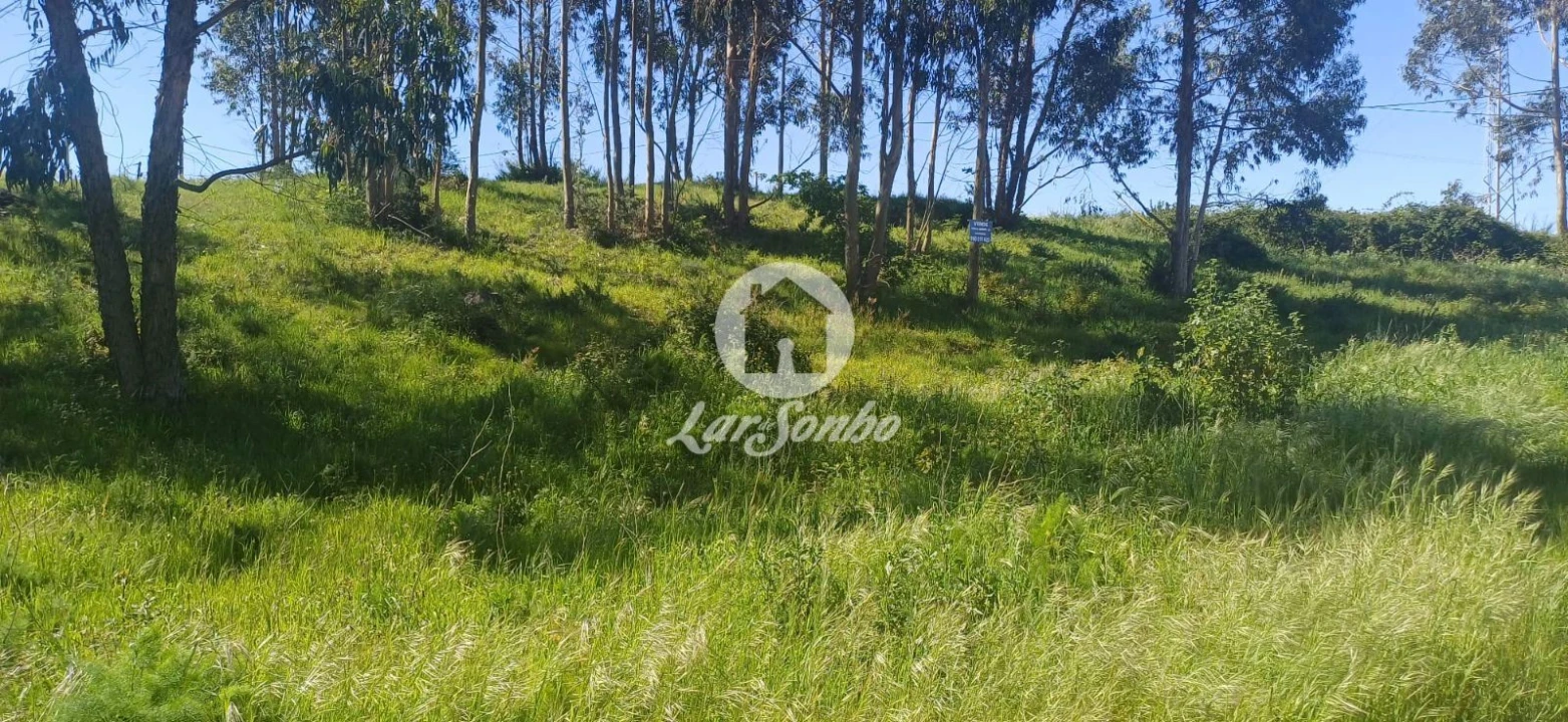 Terreno P/ Prédio para Venda em Figueiras e Covas Foto 4