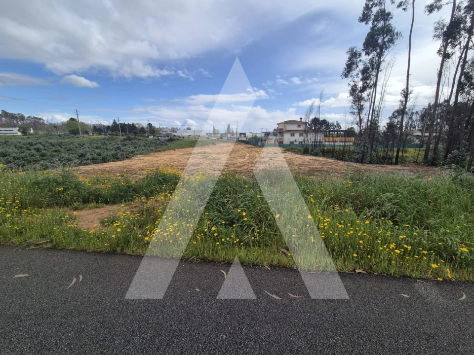 Terreno para Venda em Branca Foto 19