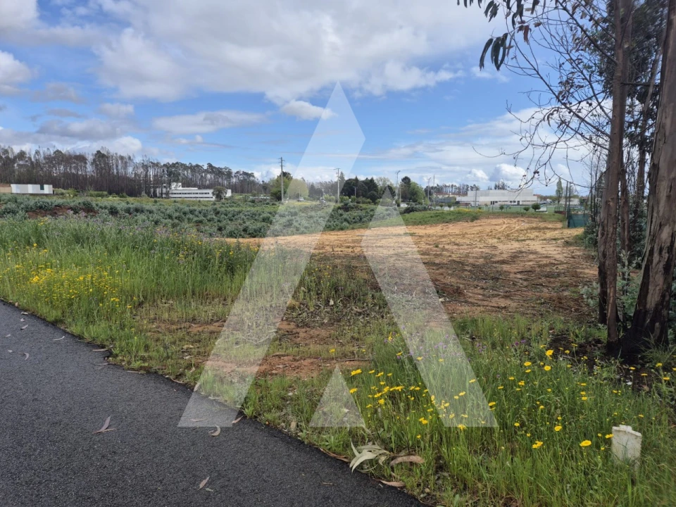 Terreno para Venda em Branca Foto 4