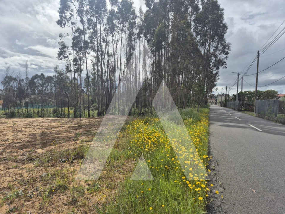 Terreno para Venda em Branca Foto 22
