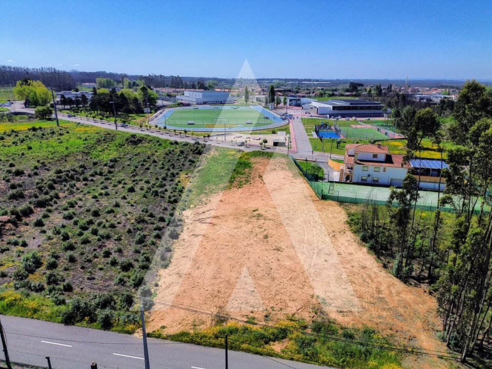 Terreno para Venda em Branca Foto 3