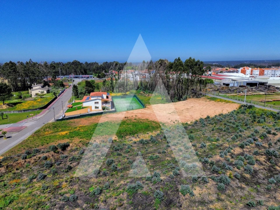 Terreno para Venda em Branca Foto 6