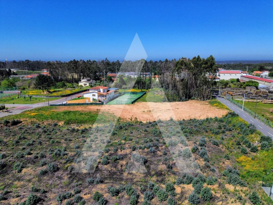 Terreno para Venda em Branca Foto 10