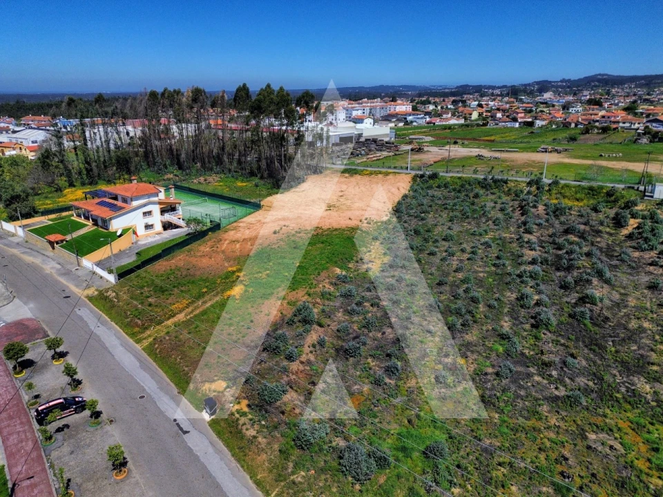 Terreno para Venda em Branca Foto 12