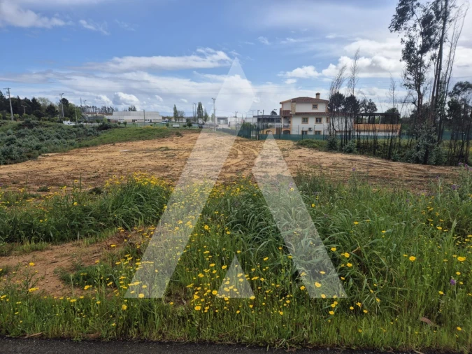 Terreno para Venda em Branca Foto 21