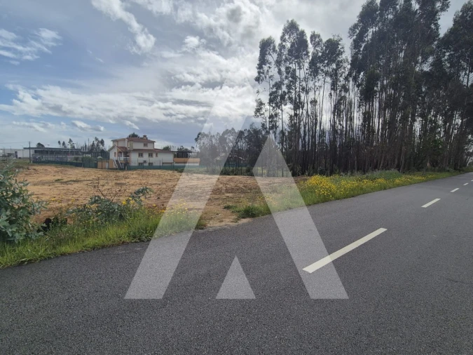 Terreno para Venda em Branca Foto 20