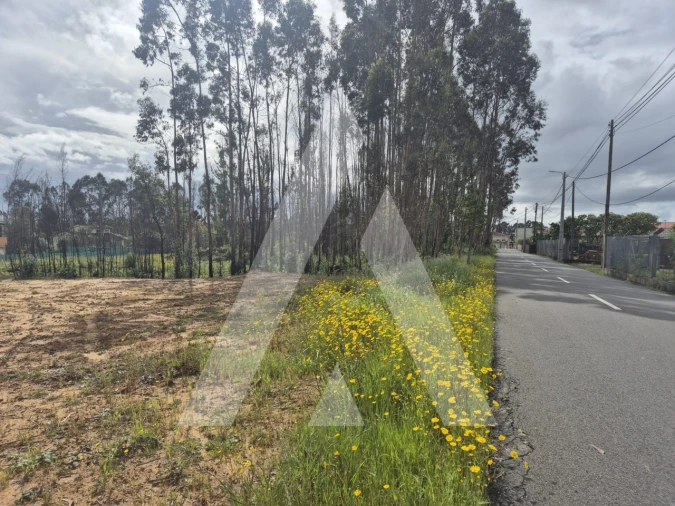 Terreno para Venda em Branca Foto 22
