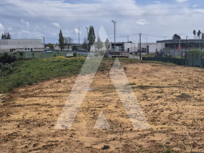 Terreno para Venda em Branca Foto 8