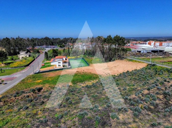 Terreno para Venda em Branca Foto 6