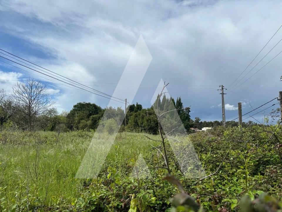 Terreno para Venda em Oliveira do Bairro Foto 9