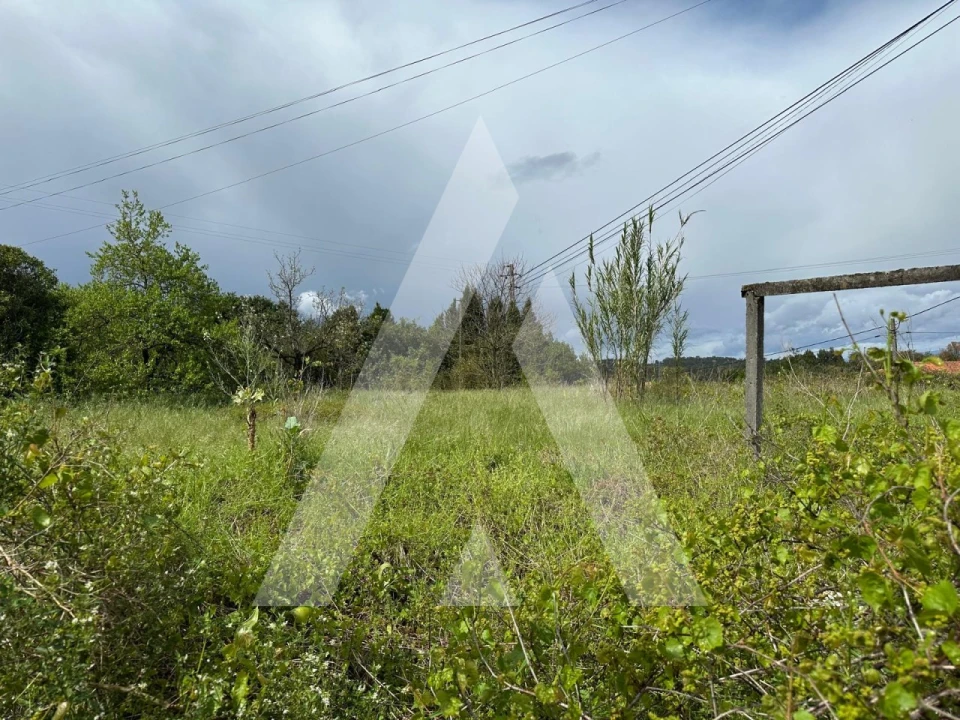 Terreno para Venda em Oliveira do Bairro Foto 10