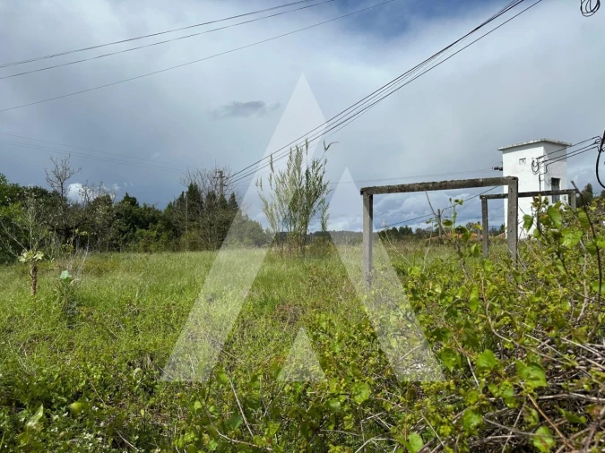 Terreno para Venda em Oliveira do Bairro Foto 2