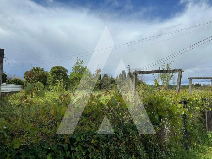 Terreno para Venda em Oliveira do Bairro Foto 3