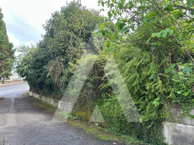 Terreno para Venda em Oliveira do Bairro Foto 8