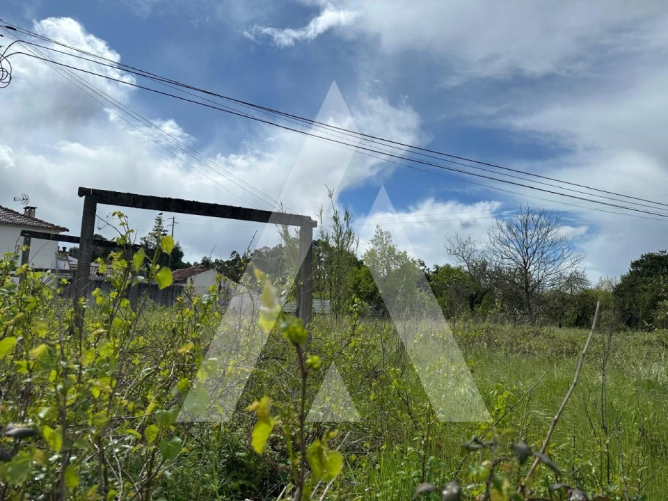 Terreno para Venda em Oliveira do Bairro Foto 4