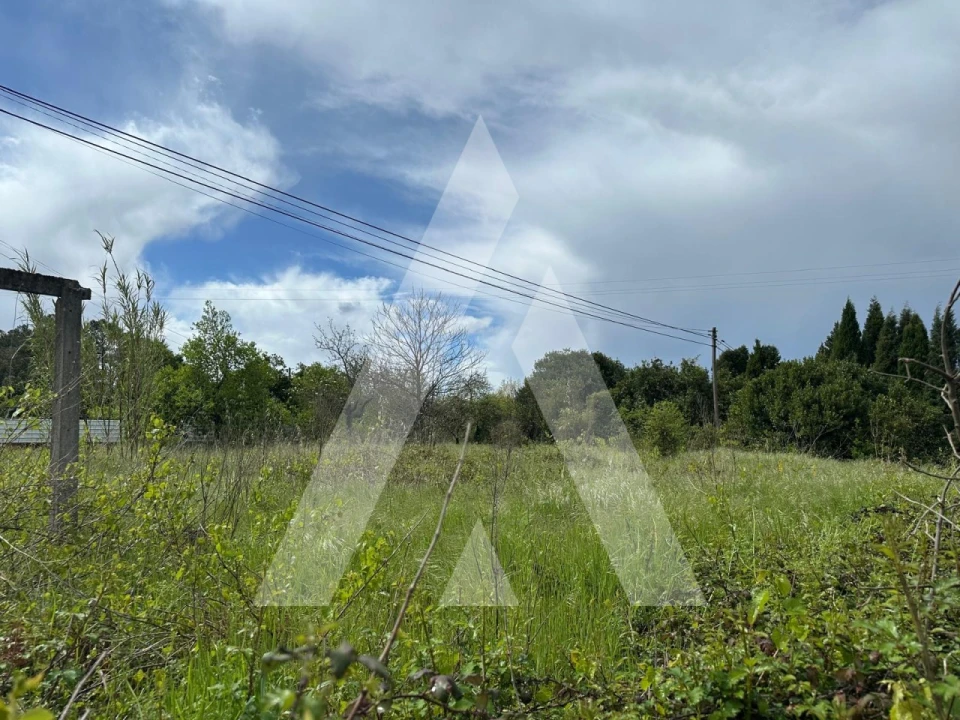 Terreno para Venda em Oliveira do Bairro Foto 7