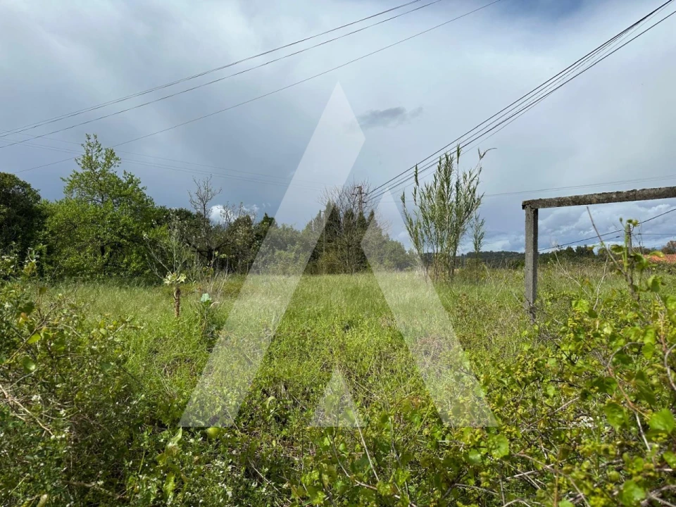 Terreno para Venda em Oliveira do Bairro Foto 10