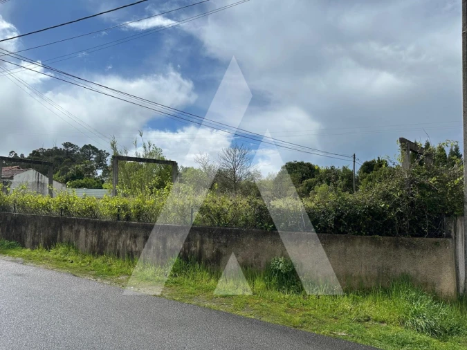 Terreno para Venda em Oliveira do Bairro Foto 2