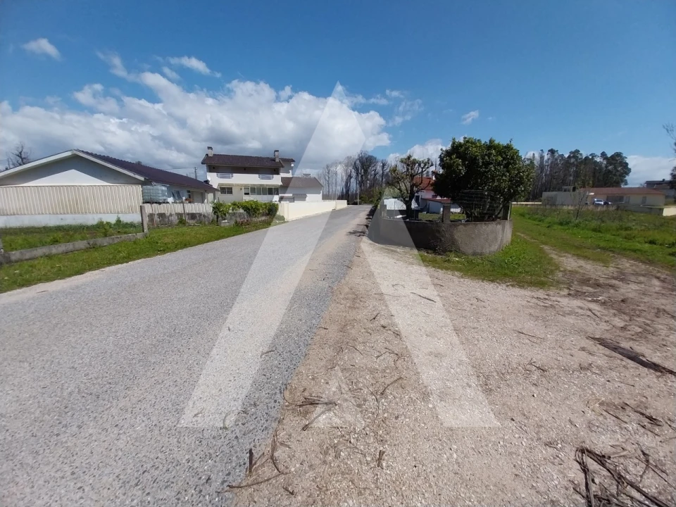 Terreno para Venda em Macinhata do Vouga Foto 11