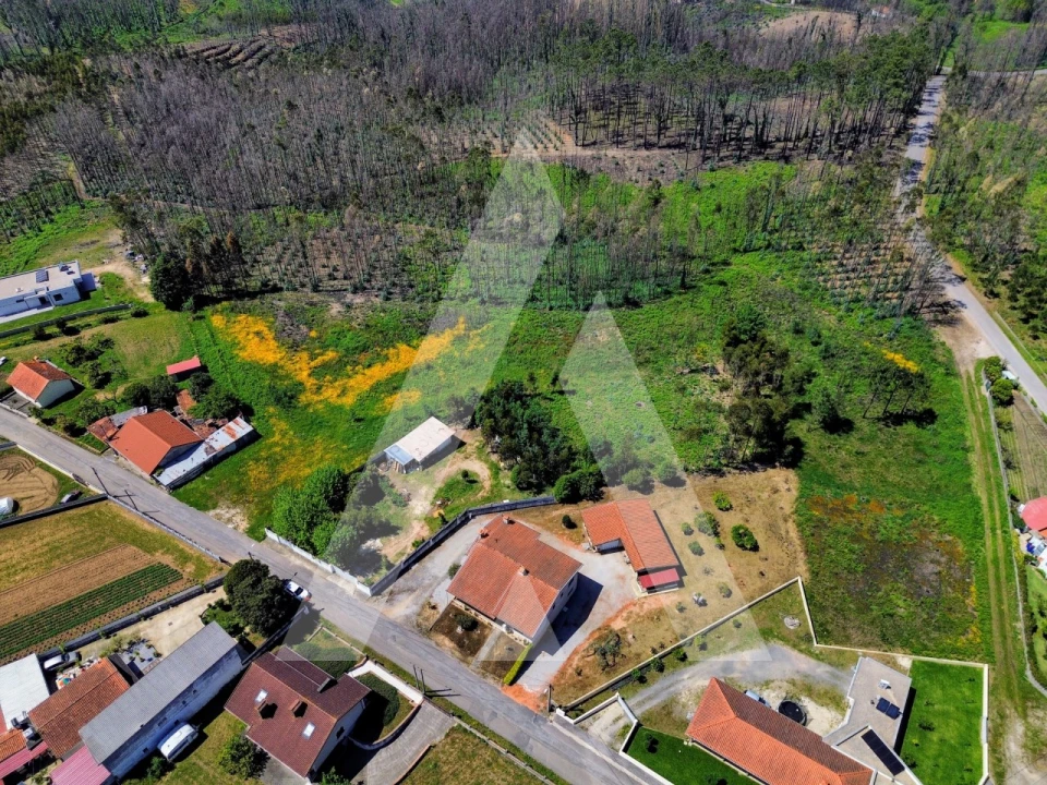 Terreno para Venda em Macinhata do Vouga Foto 12