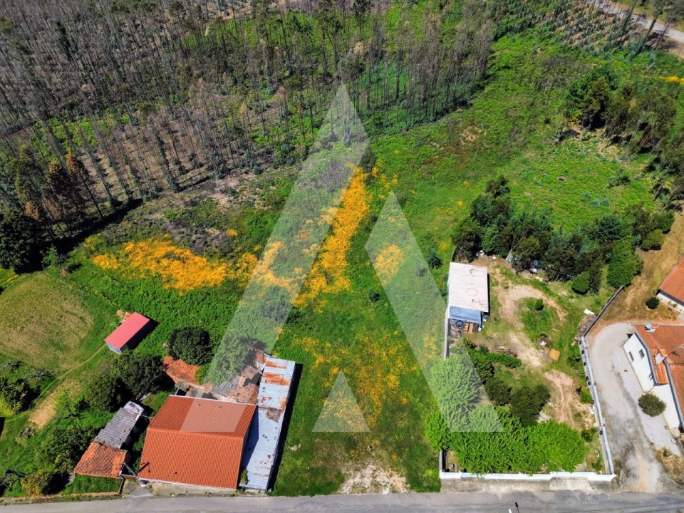 Terreno para Venda em Macinhata do Vouga Foto 13