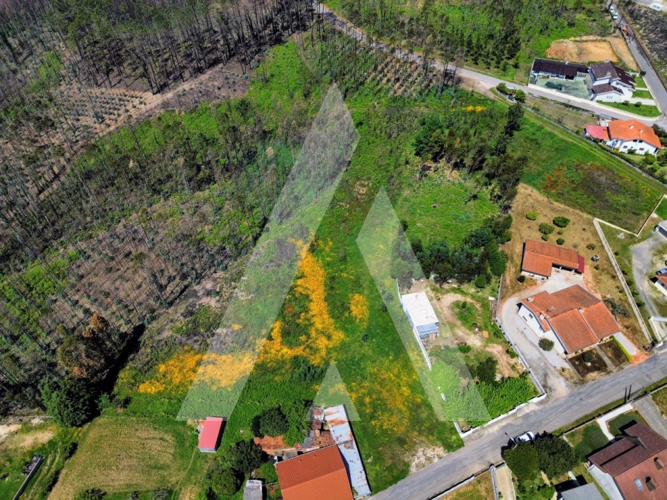 Terreno para Venda em Macinhata do Vouga Foto 15